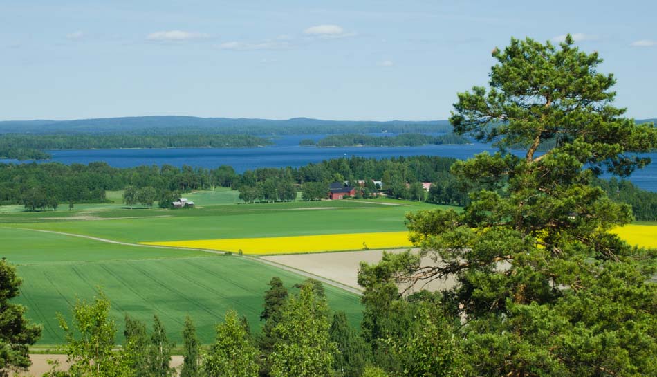 a picture of one of pälkänes big wheat fields and lakes
