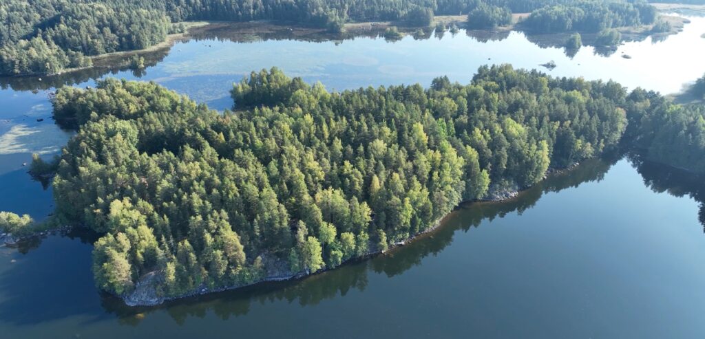 Vohlisaari ilmakuva